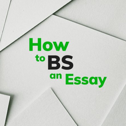 how to bs an essay