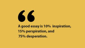 essay quote